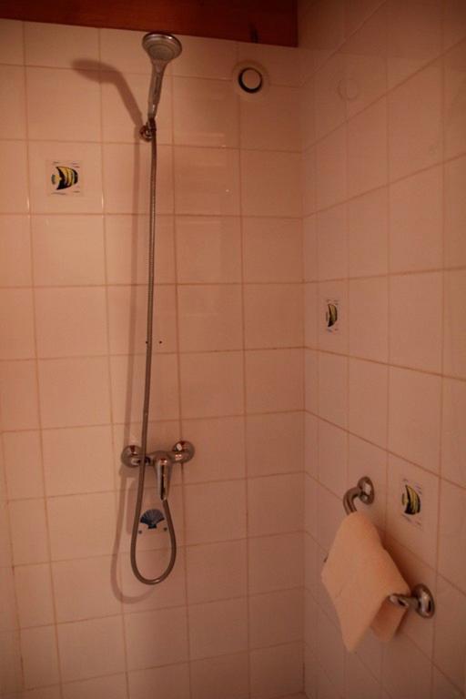 Gites De Maner Ster - Le Frene Piscine Ou Le Chene Piscine Et Spa Privatif Cléden-Poher 外观 照片